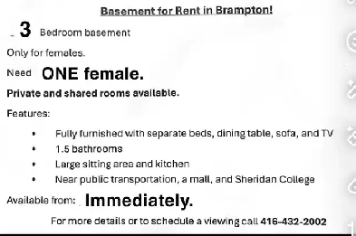 Basement room for rent