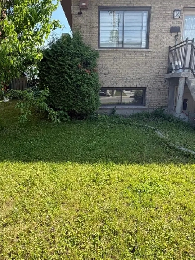 3 1/2 à louer à Longueuil. Tout rénové.