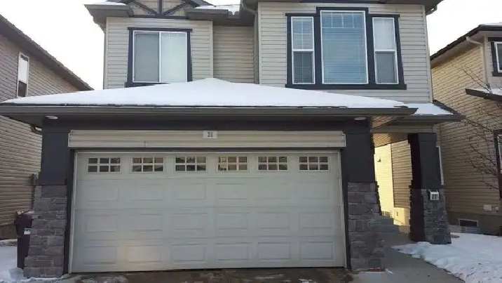 Walkout Basement for Rent - (Separate Entry)
