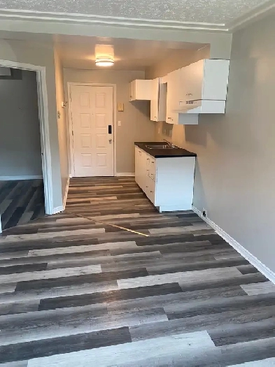 1 Bedroom 1 Bathroom