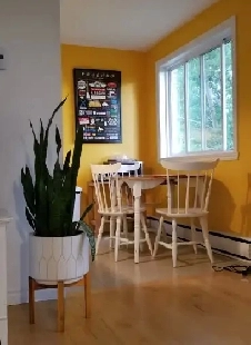 Ste-Foy 4½ juillet 2026, TOUT INCLUS, secteur paisible 1125$