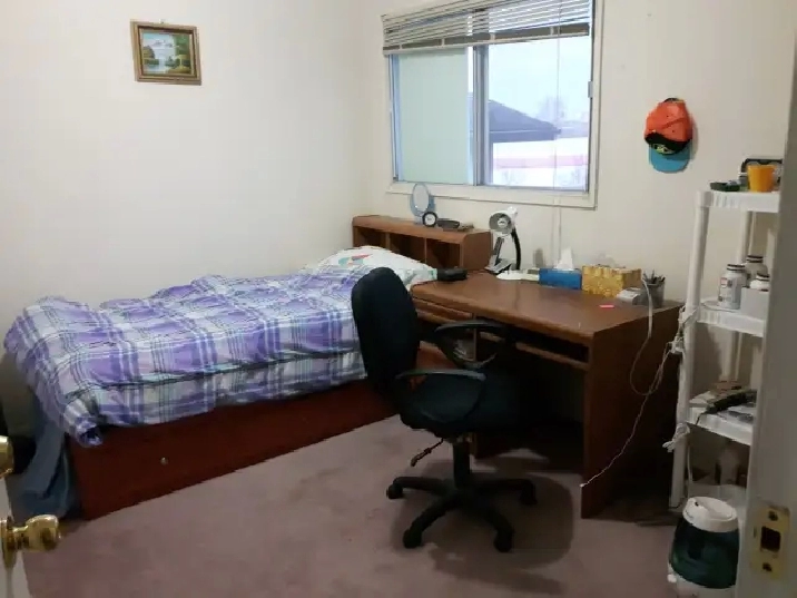 Room near Rundle C Train NE and Malls