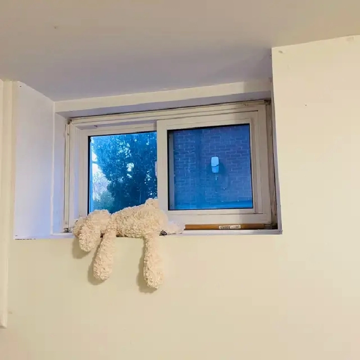 Room 4 Rent - Lakeshore Long Branch