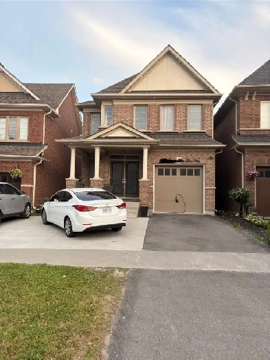 1 basement apartment in north Oshawa