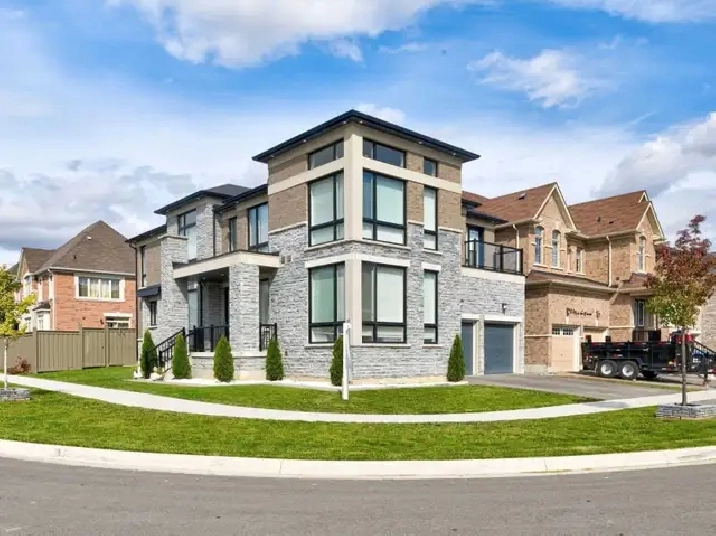 1 Bed 1 Wash Basement For Rent In Brampton