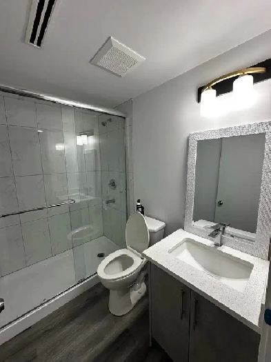 Basment for Rent