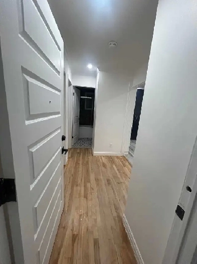 4 1/1 rénové 2e triplex Anjou