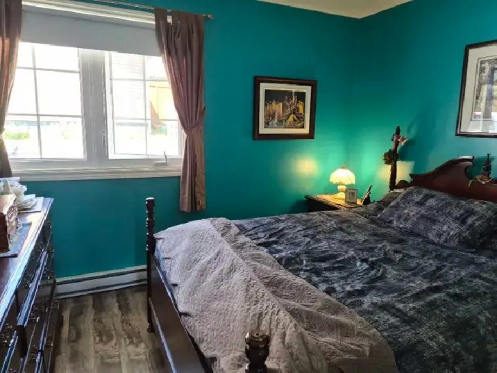 Photo 5