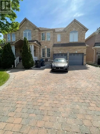 Basement for Rent