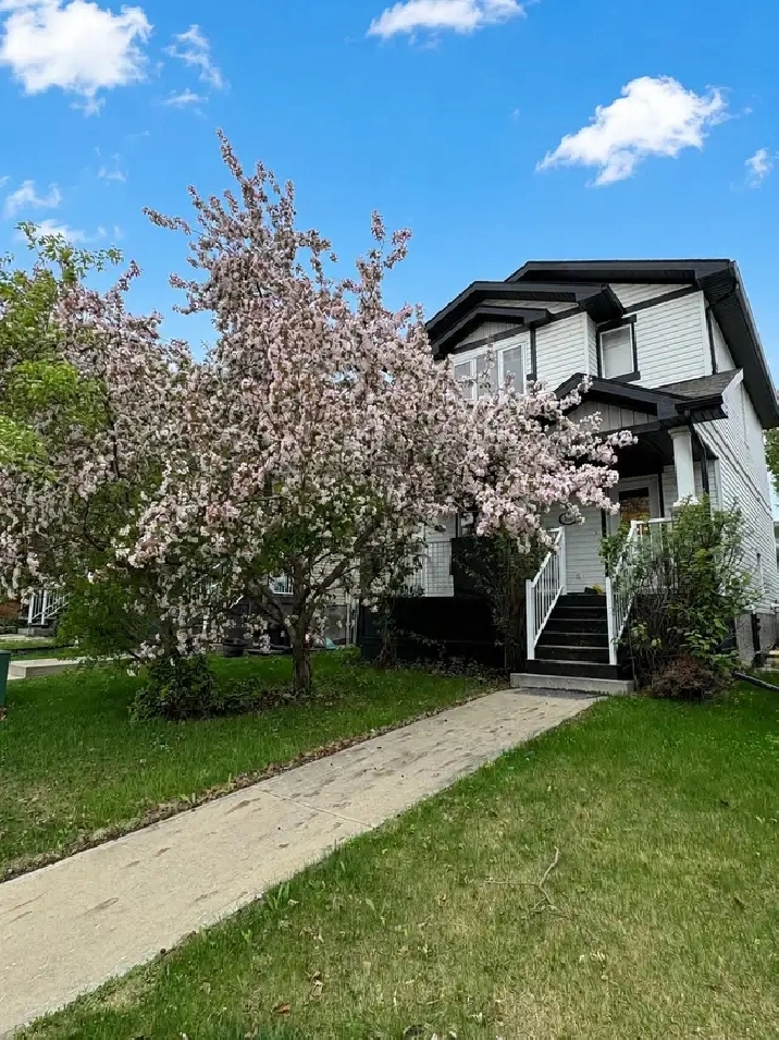 136 Sandstone Lane