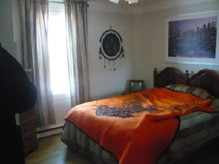 Photo 6
