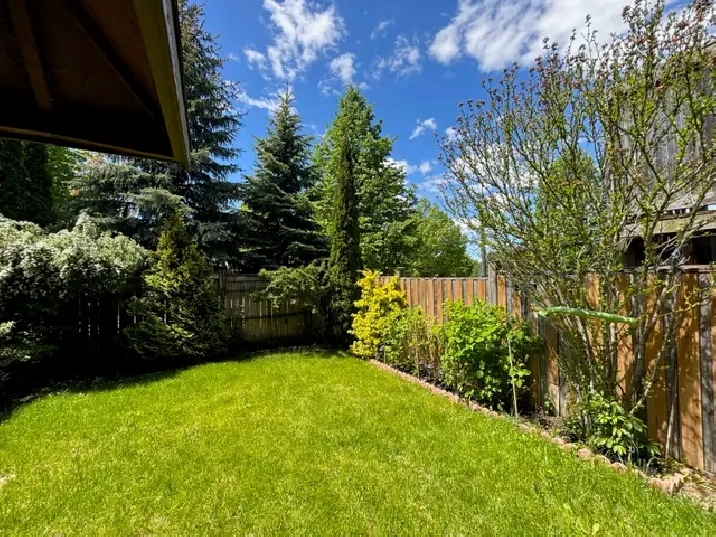 Basement Apartment For Rent