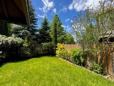 Basement Apartment For Rent