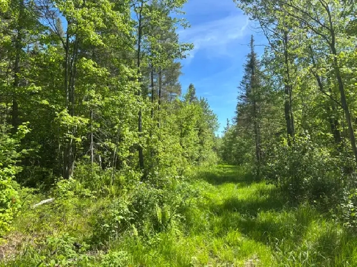 terre à bois à vendre