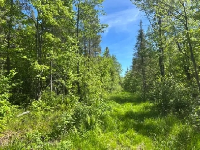 terre à bois à vendre