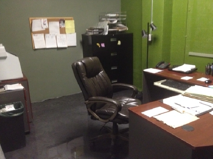 Photo 8