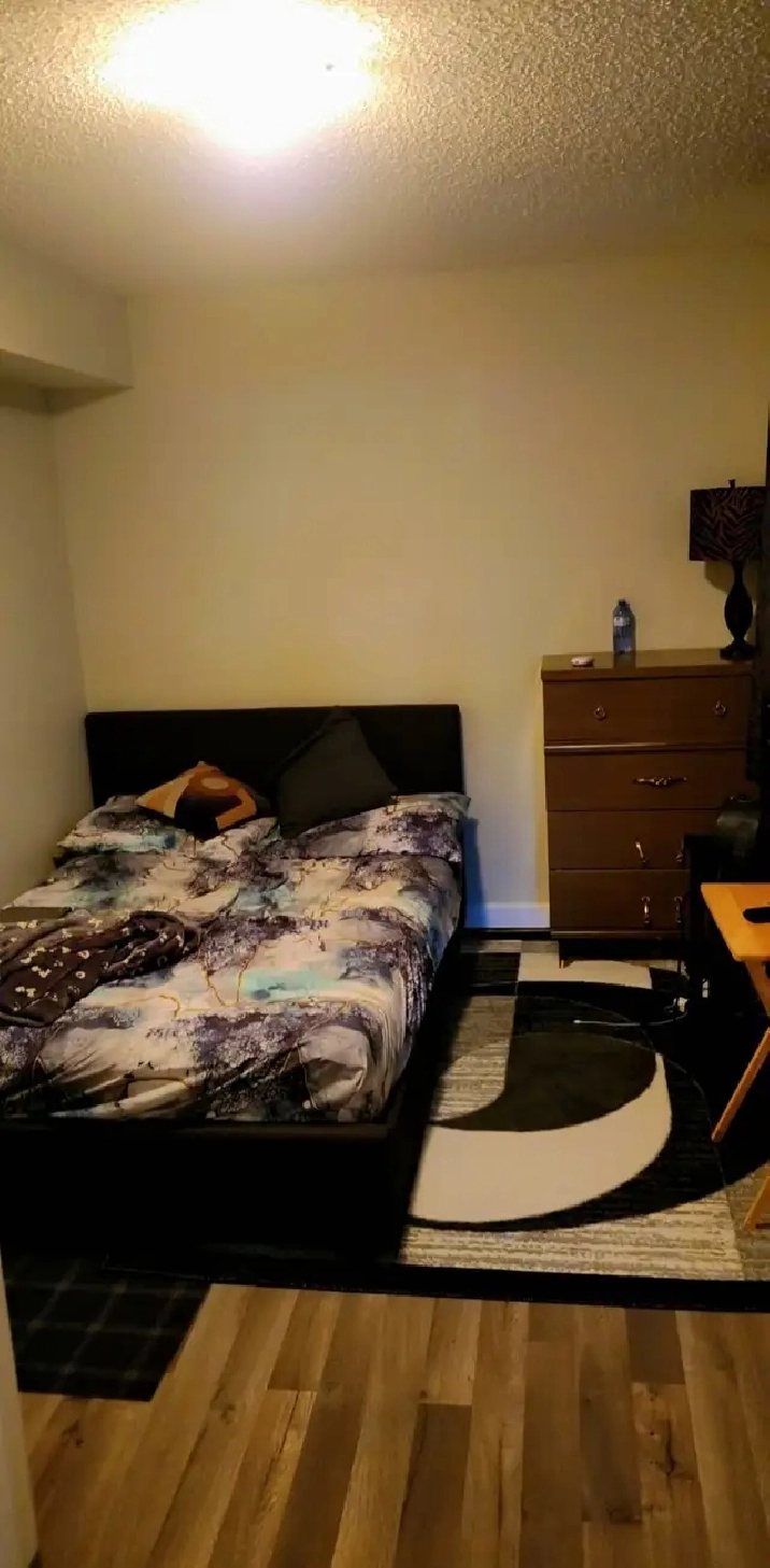 Inner city two bedroom basement suite in Bridgeland/Renfrew