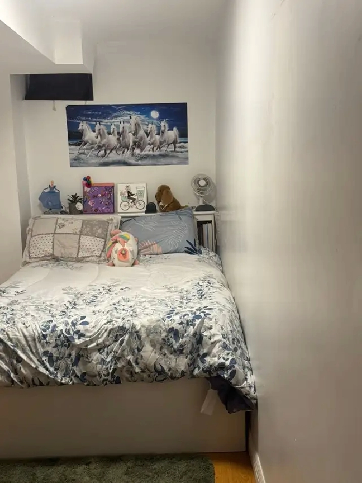 Basement room  for rent, steps to Seneca@york $800.