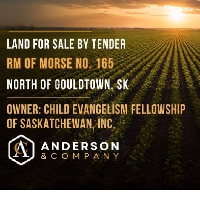 LAND TENDER:  RM of Morse #165 - 5km N of Gouldtown, SK