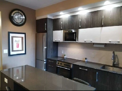 Modern Furnished Studio Bachelor in Downtown Ottawa - FOR RENT