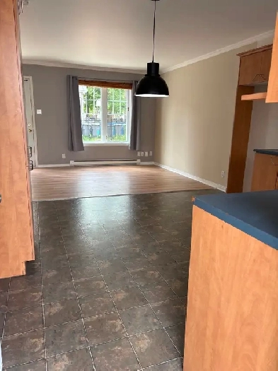 1ER JUILLET- CENTRE VILLE JOLIETTE- SPLENDIDE 4 1-2 MAISON VILLE