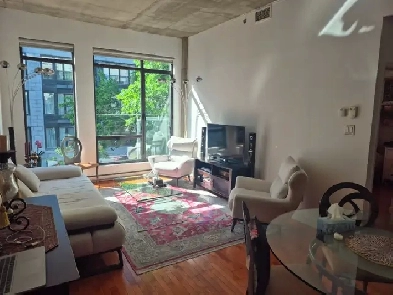 3 1/2 Old Port Montreal - Vieux Port (One Bedroom)