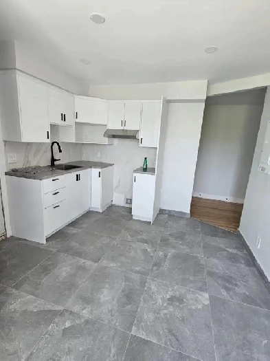 4  1/2, Renovated, Montreal, 10 min to Metro Papineau, Available