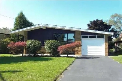 Furnished Apartment for Rent