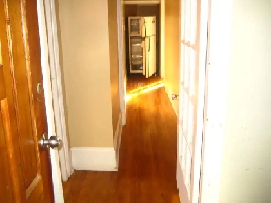 One Bedroom Apartment- Sandy Hill Area