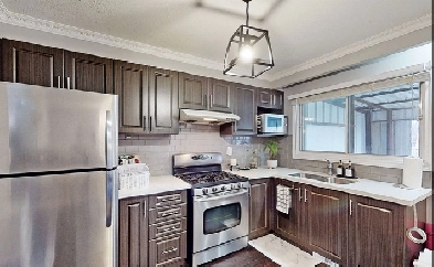 Beautiful and Bright - 1 Bed, 1 Bath