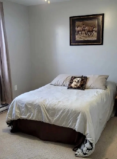 Room for rent