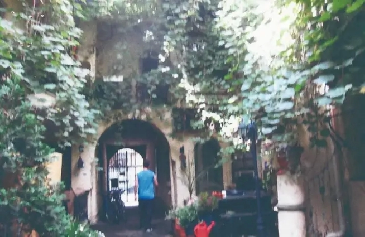 Photo 9