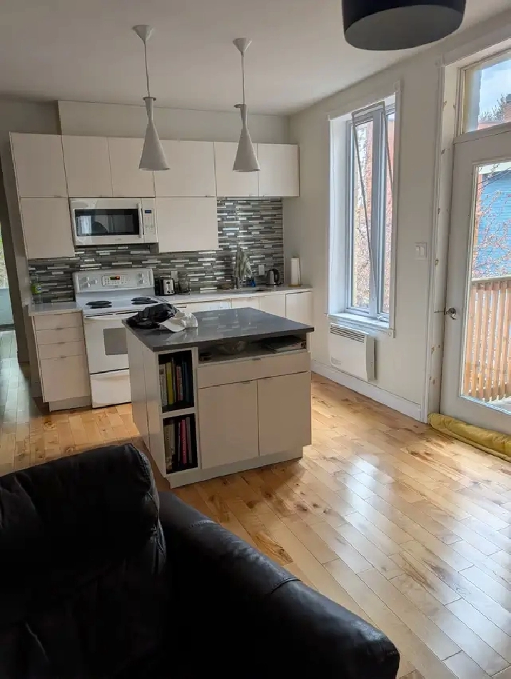 5 1/2 PLATEAU Mont-Royal  STATIONNEMENT  2 chambres WOW!