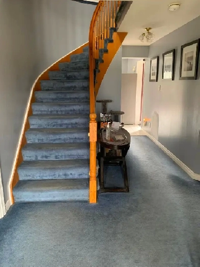 Executive home room for rent $750 July 1st