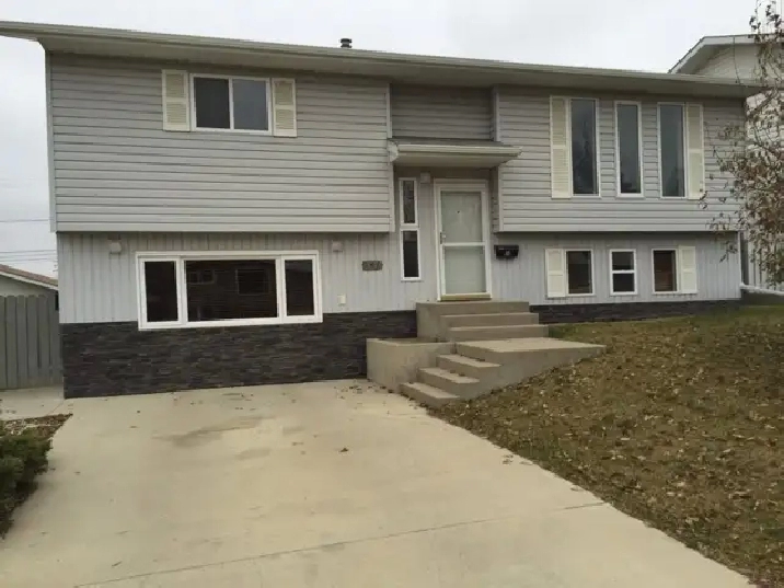 Newer ground level basement suite available August 1, 2026