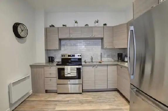 7 1/2 renovated furnished apartment (little Italy)