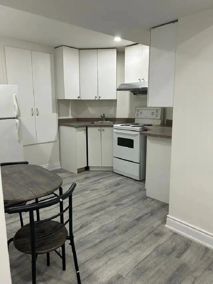 1-bedroom basement apartment