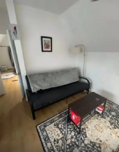One Bedrooms Apartment, Steps to Subway