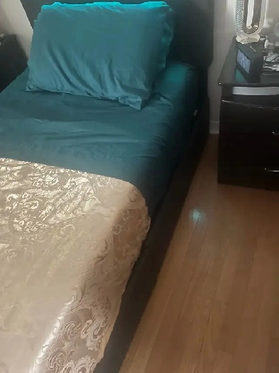 bachelor for rent
