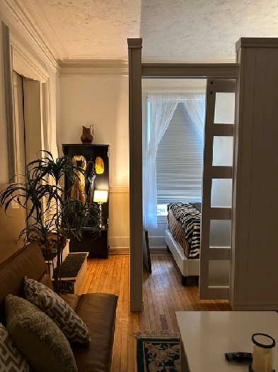 SEPTEMBER 1ST: Furnished uptown Junior one-bedroom, to call home