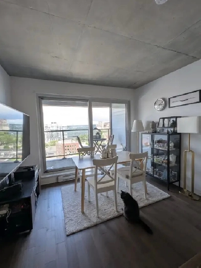 LOCATION 4 1/2 Griffintown 2400$/mois Dispo 1er Août 2026