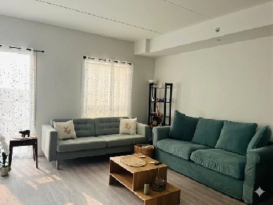 Luxury 1BR/1BA | Bridgwater | All-Inclusive Hydro, Water & Wi-Fi