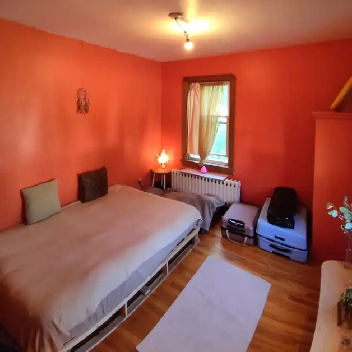 Photo 5