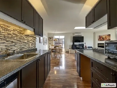 condo a vendre près du mont St Anne à St Ferréol