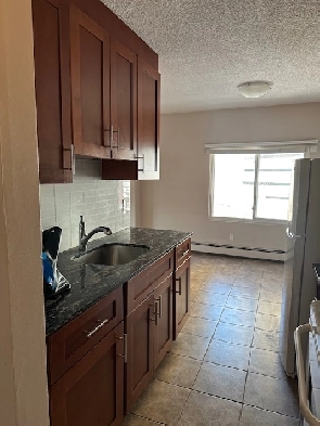 Cozy downtown living. Studio/1 Bedroom/2 Bedroom. Pet friend...