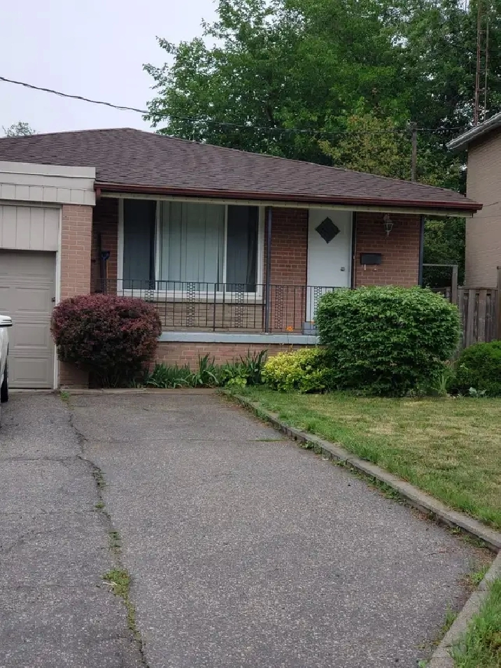 Bachelor basement apartment in North York $1560.00