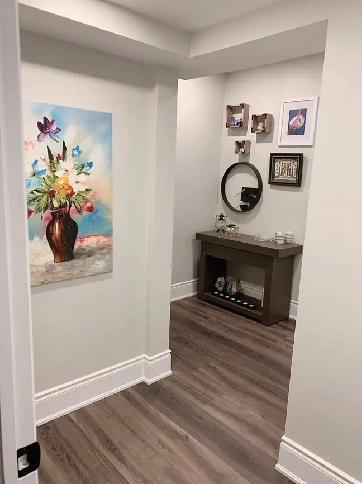 Rent from July 1st onwards - One bed & One bath Apartment