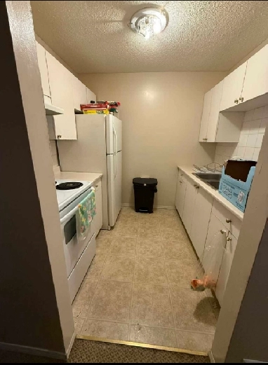 Top Floor/Studio for rent.