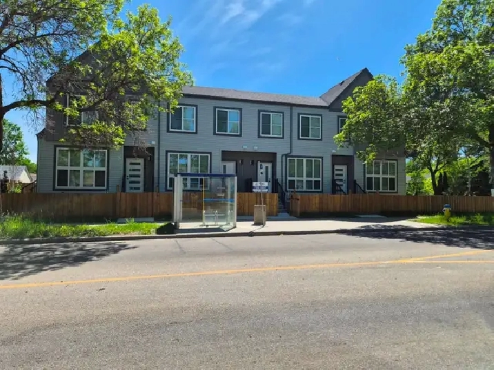 BEAUTIFUL NEWLY BUILT 1 BEDROOM BASEMENT FOR RENT IN EDMONTON