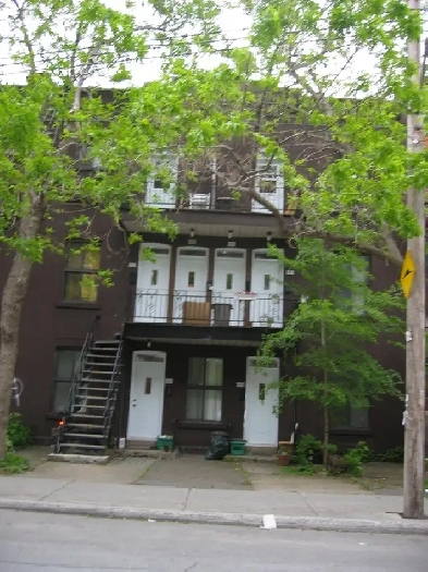 Plateau Mile-End  4 1/2  Août